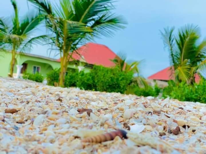 Bosofet Beach And Creek Lodge Sanyang Εξωτερικό φωτογραφία
